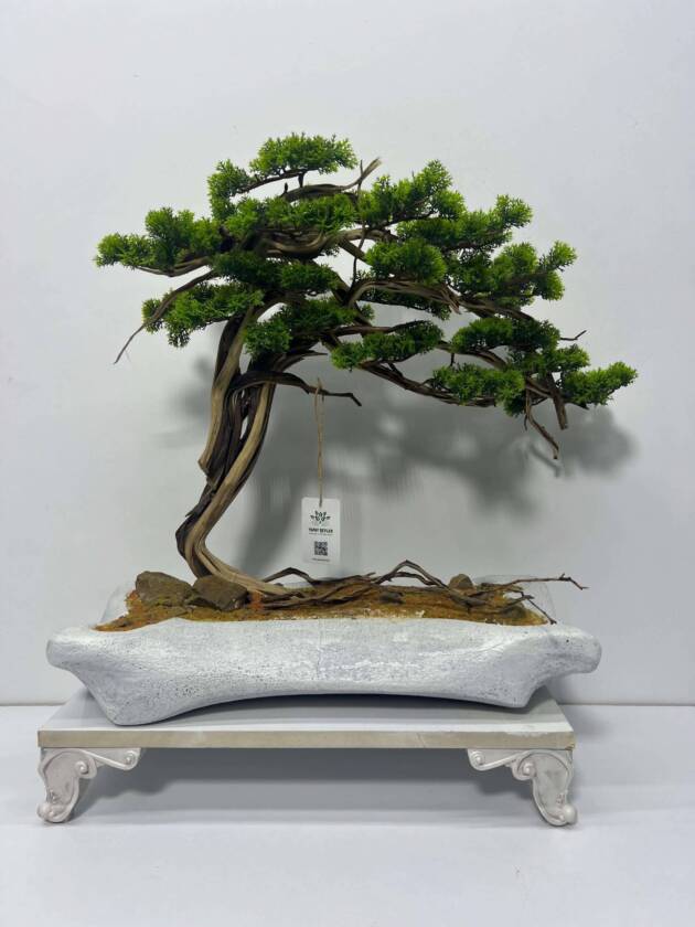 MİNİ BONSAİ