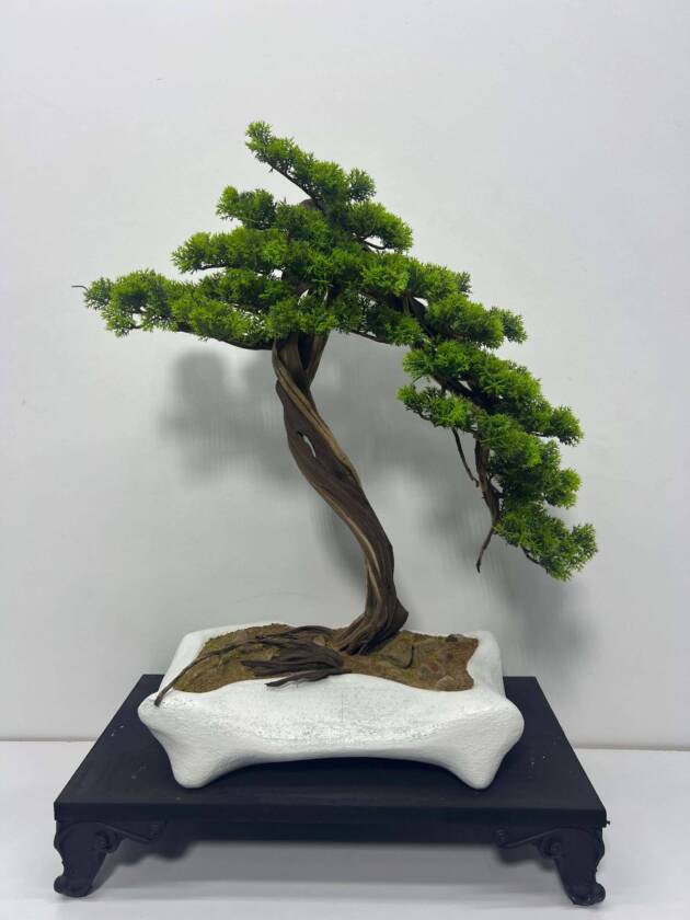 MİNİ BONSAİ