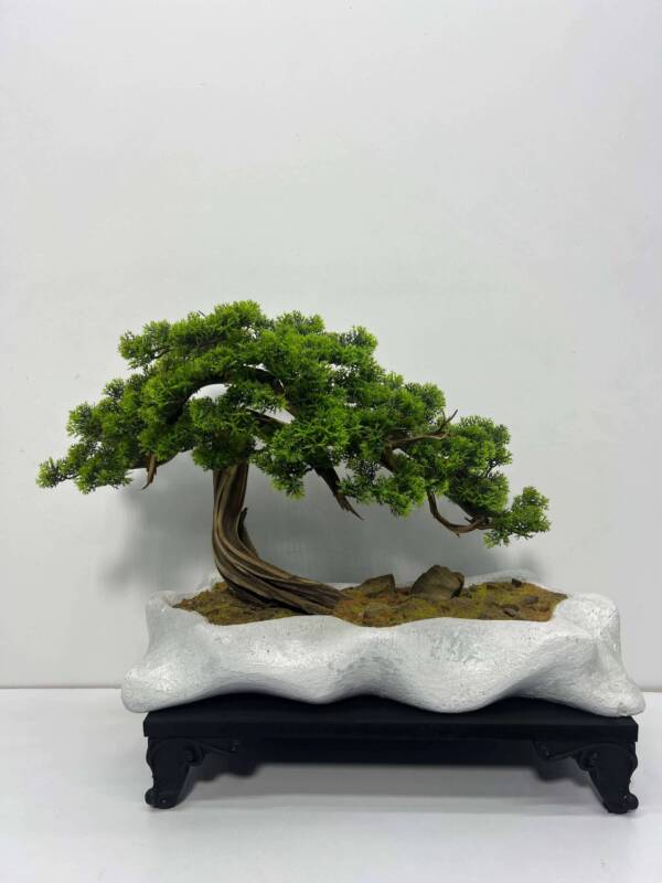 bonsai