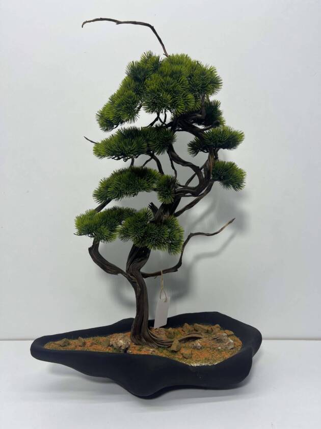 MİNİ BONSAİ
