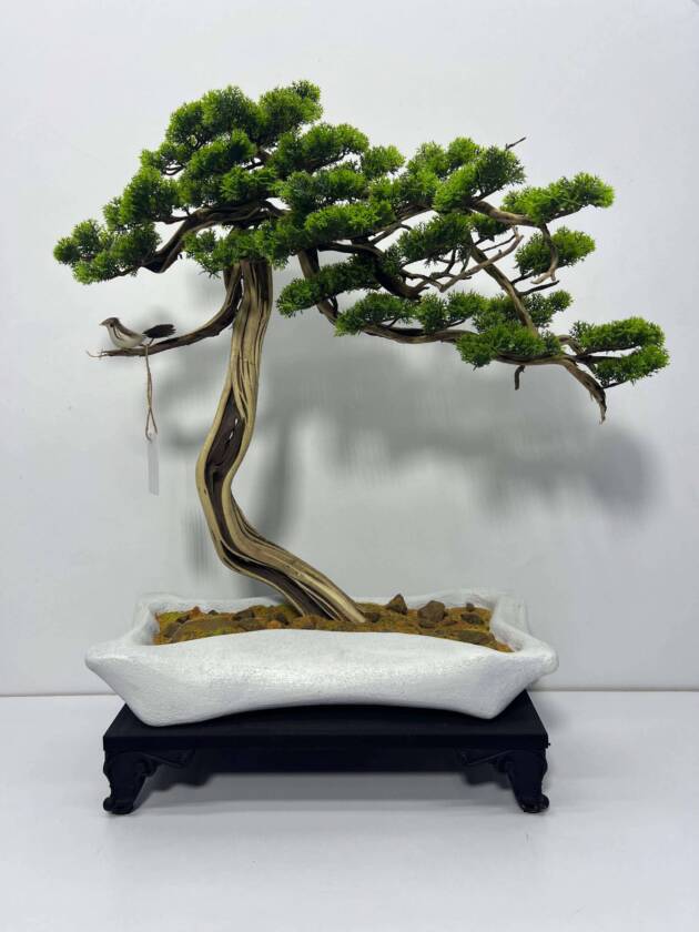 mini bonsai