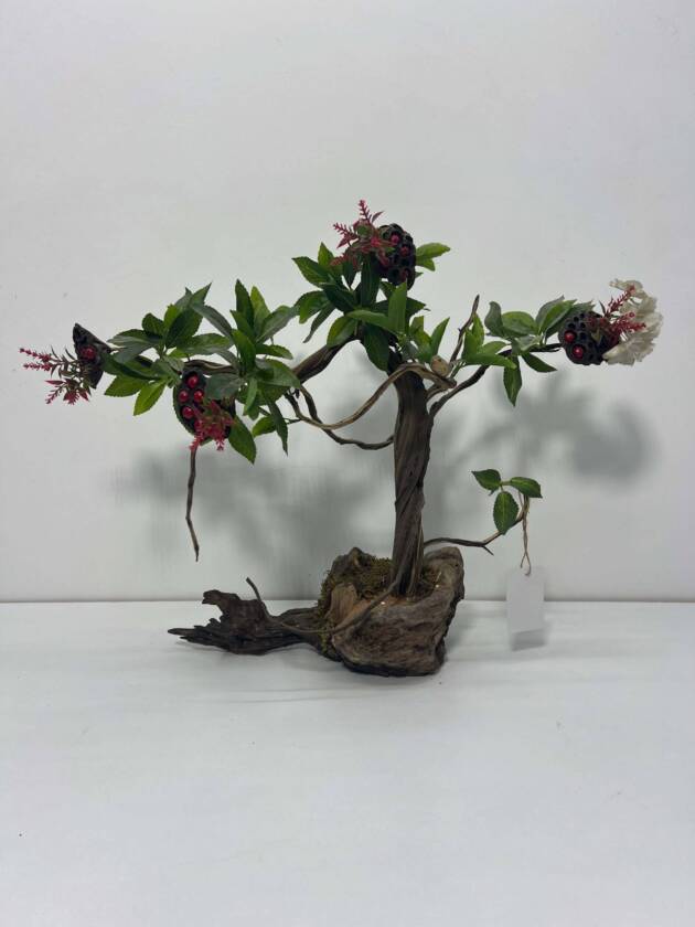 mini bonsai