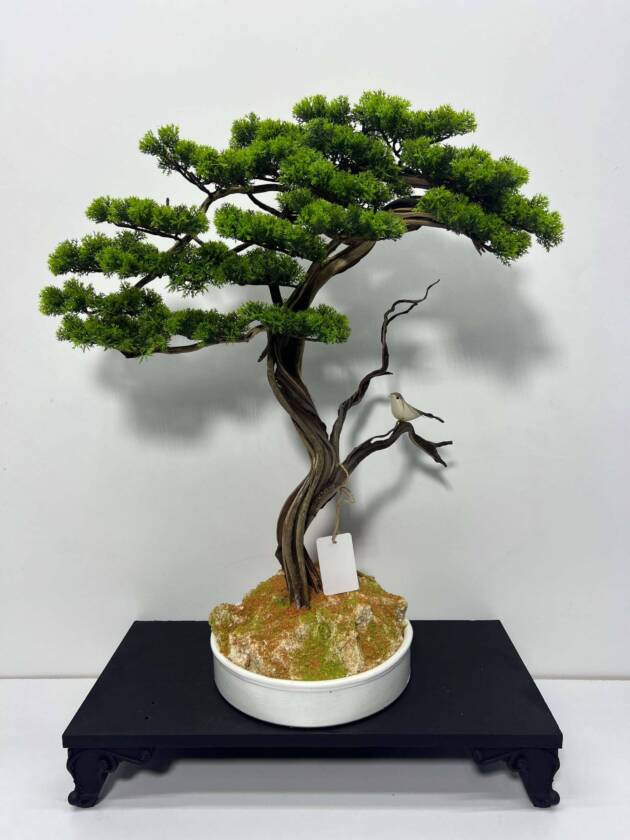 mini bonsai ağaçları